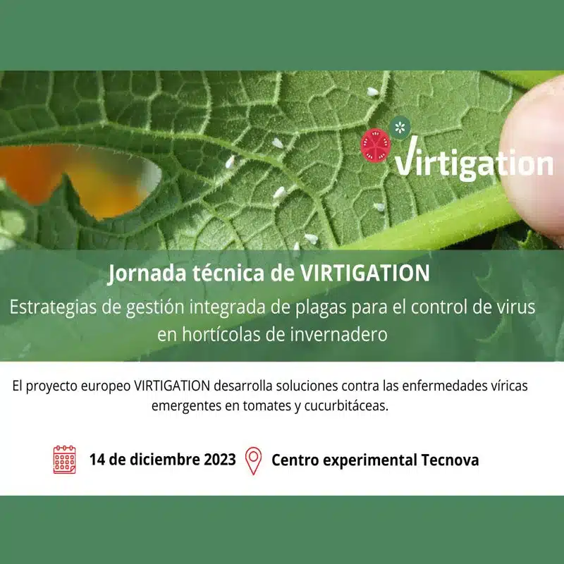 Jornada técnica de VIRTIGATION: Estrategias de gestión integrada de plagas para el control de virus en hortícolas de invernadero