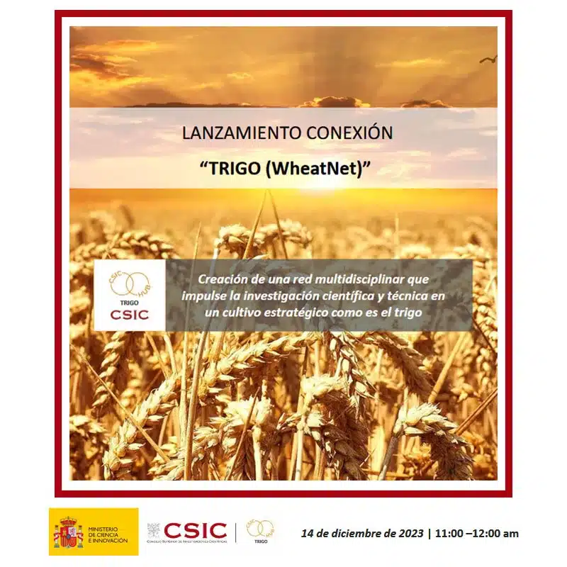 WheatNet (Conexión Trigo): Jornada de lanzamiento