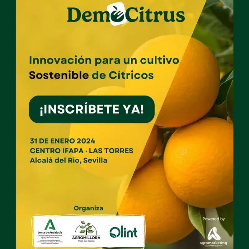 Democitrus 2024. Innovación para un cultivo eficiente y sostenible de cítricos