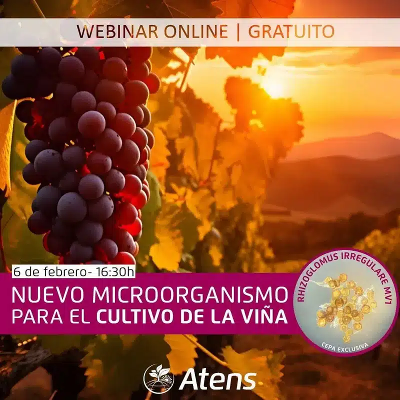 Webinar Atens: Micorriza Rhizoglomus irregulare MV1 para el CULTIVO DE LA VIÑA