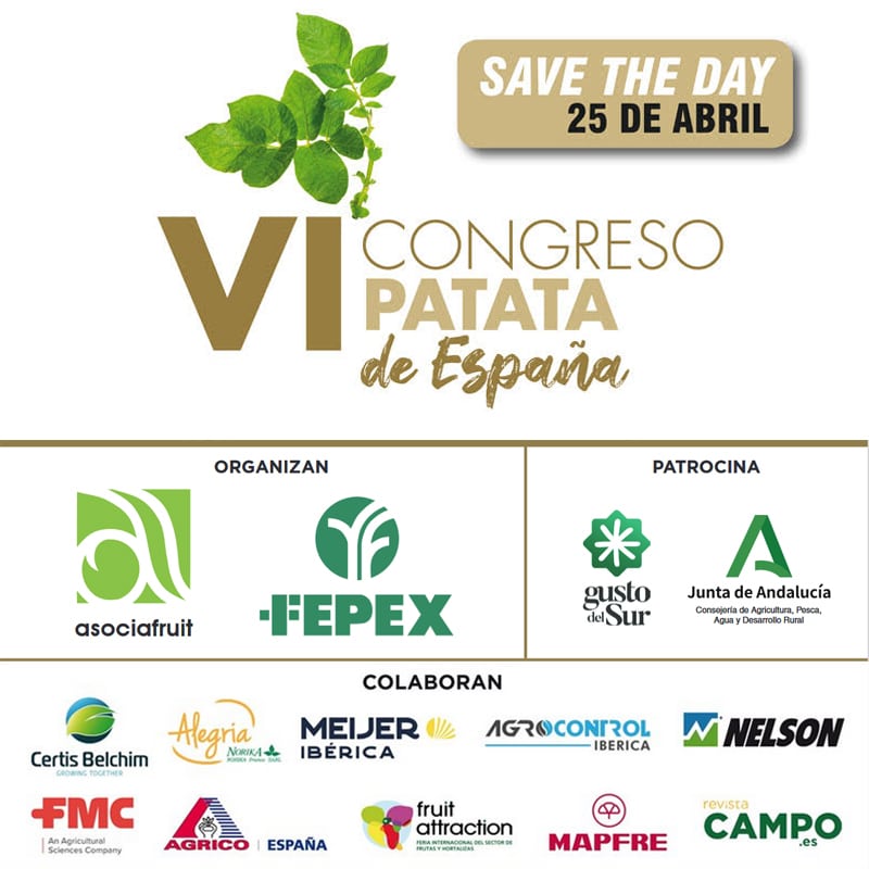 VI CONGRESO PATATA DE ESPAÑA