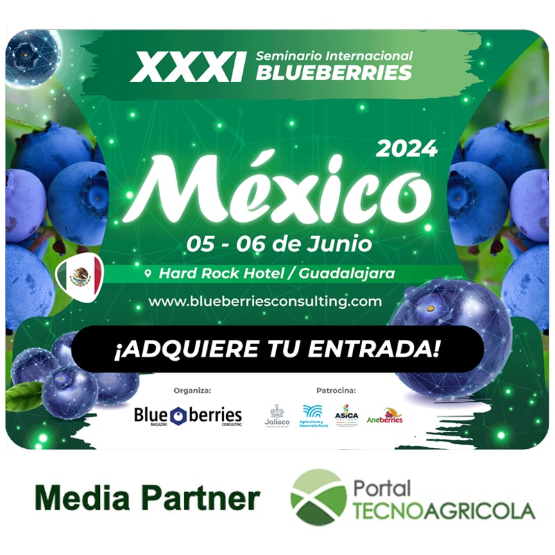 XXXI Seminario Internacional de Blueberries México 2024