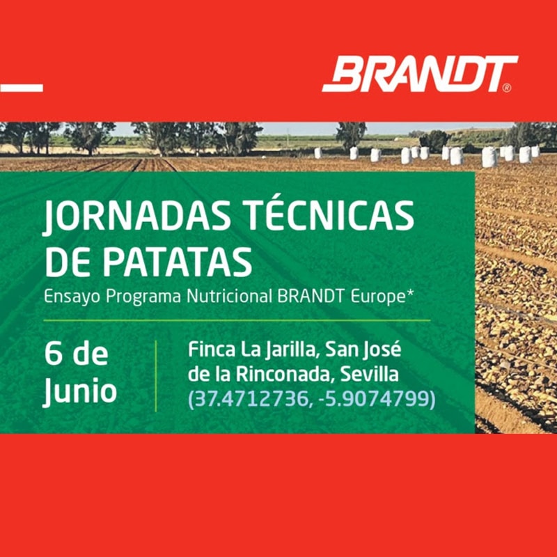 Jornada Técnica de Patata de Brandt.