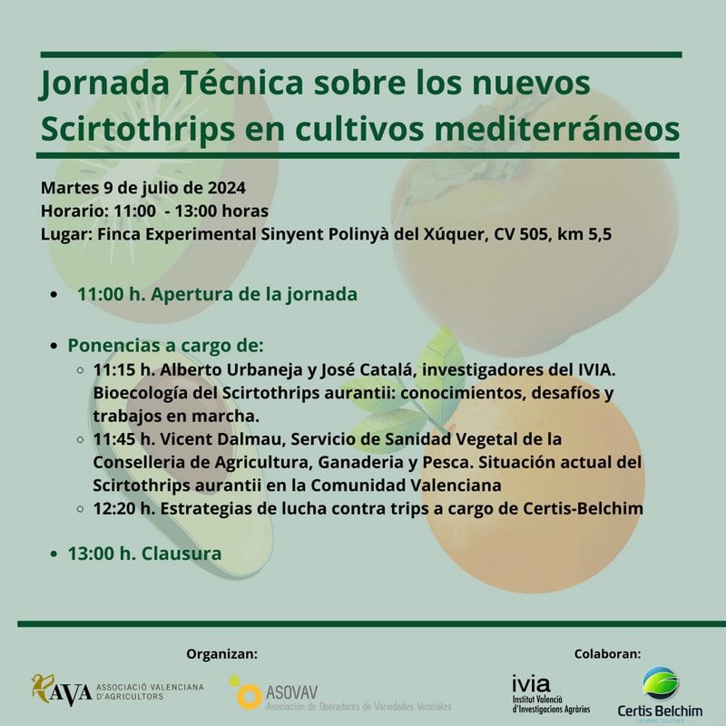 Jornada técnica sobre los nuevos Scirtothrips en cultivos mediterráneos. Organizan AVA-ASAJA y ASOVAV