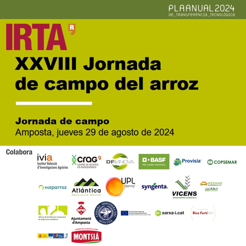 XXVIII Jornada de campo del arroz 2024 - IRTA