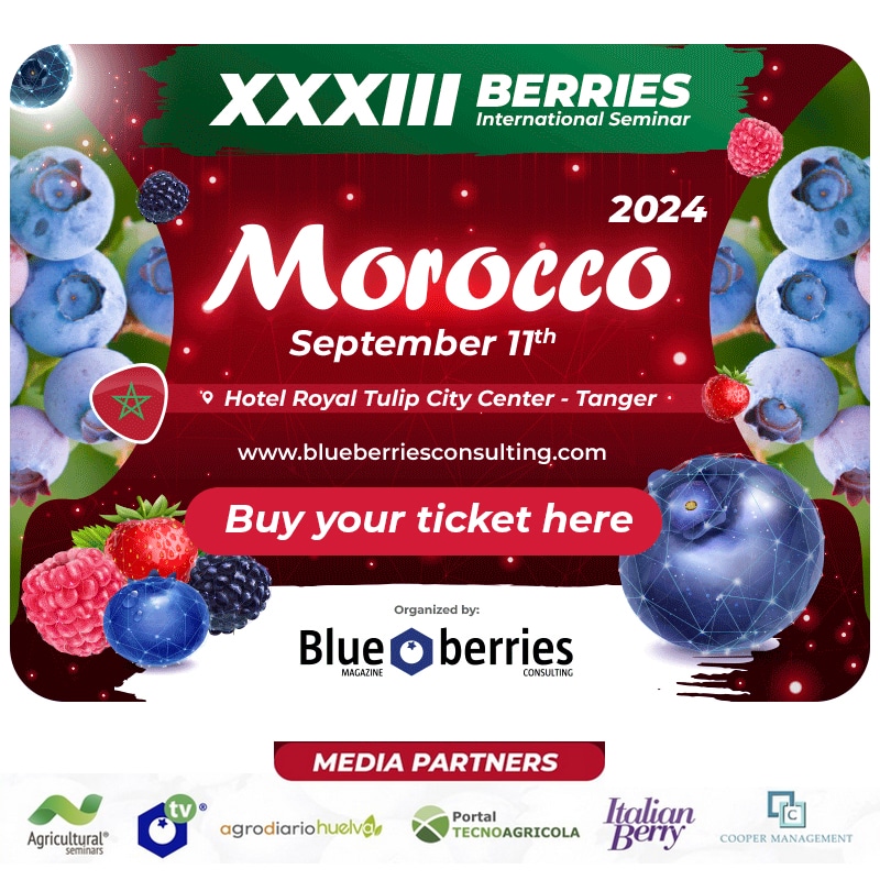 XXXIII Seminario Internacional Blueberries Marruecos 2024