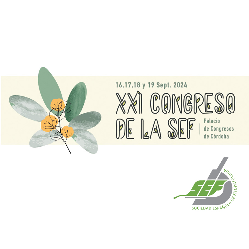 El XXI Congreso de la SEF se celebrará en el Palacio de Congresos de Córdoba, del 16 al 19 de septiembre de 2024.