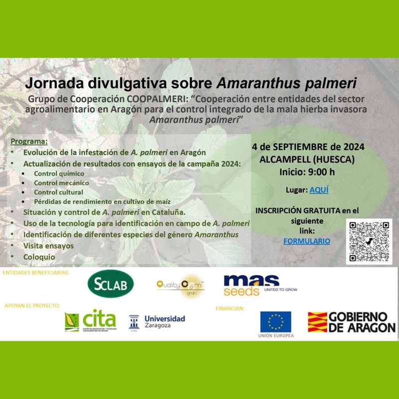 Jornada divulgativa sobre Amaranthus palmeri del Grupo de Cooperación COOPALMERI