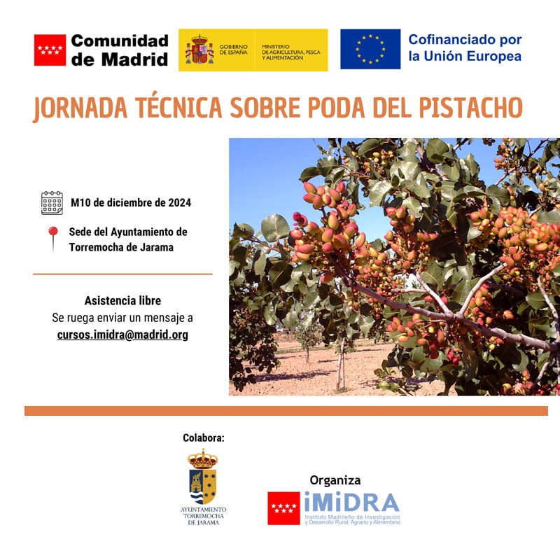 JORNADA TÉCNICA SOBRE PODA DEL PISTACHO - IMIDA MADRID