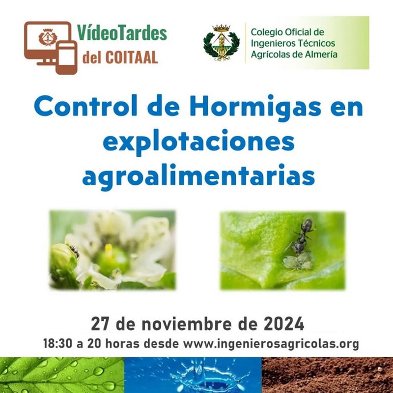 COITAAL. VideoTarde 6 de 2024. Control de Hormigas en explotaciones agroalimentarias