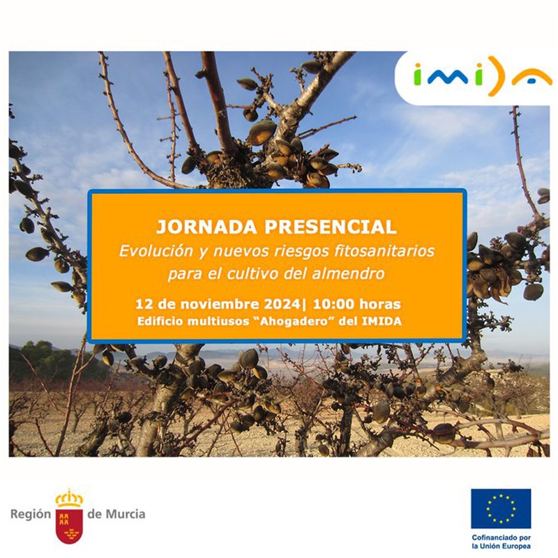 Jornada: Evolución y nuevos riesgos fitosanitarios para el cultivo del almendro. La necesidad de establecer un programa eficaz de transferencia hacia el sector