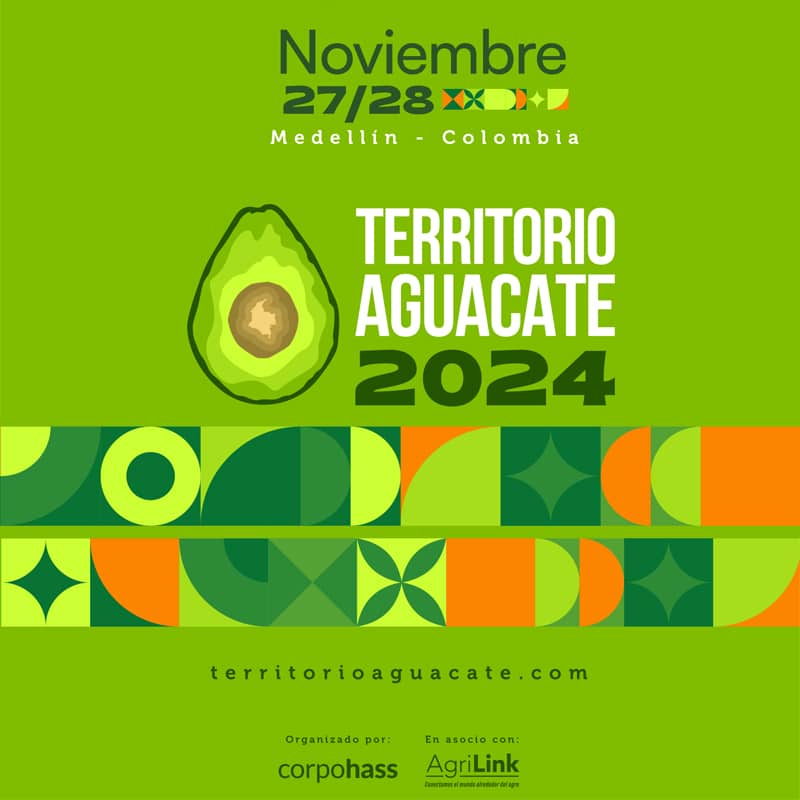 Territorio Aguacate 2024