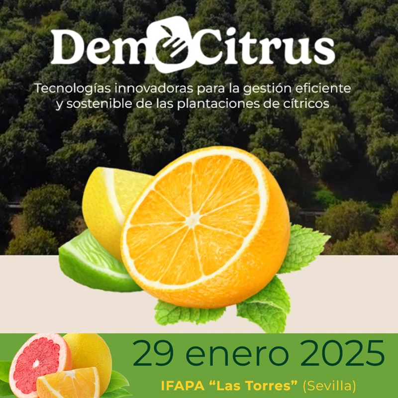 Democitrus 2025