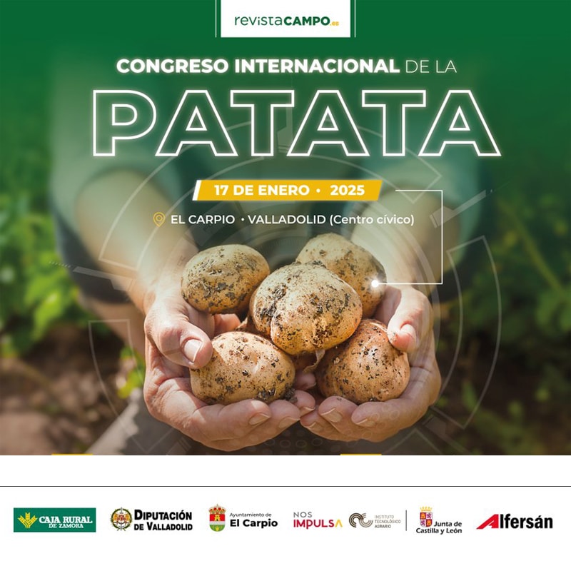 CONGRESO INTERNACIONALDE LA PATATA 2025 en El Carpio