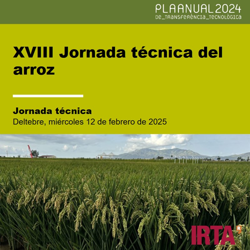 XVIII Jornada Técnica del Arroz 2025 organizada por el IRTA