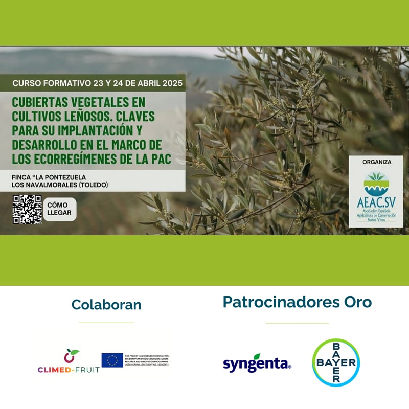 Cubiertas vegetales en cultivos leñosos. Claves para su implantación y desarrollo en el marco de los ecorregímenes de la PAC