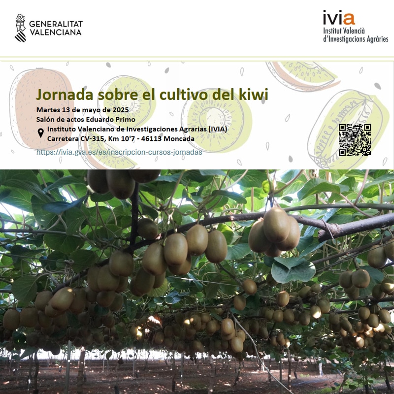 Jornada del cultivo del kiwi en el IVIA