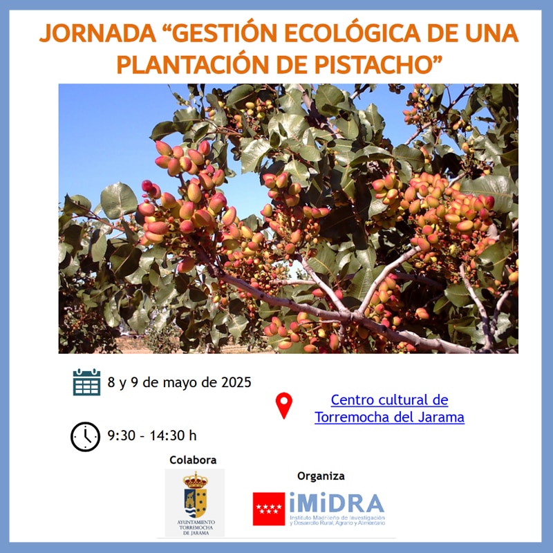 La Jornada "Gestión Ecológica de una Plantación de Pistacho", organizada por el Instituto Madrileño de Investigación y Desarrollo Rural, Agrario y Alimentario (iMiDRA)