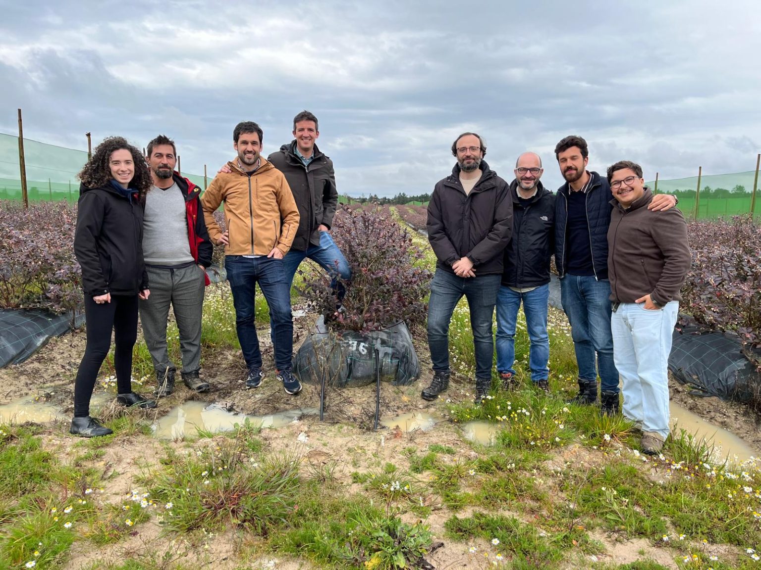 Yara y SanLucar se unen para impulsar la agricultura regenerativa y la descarbonización en el cultivo de arándanos