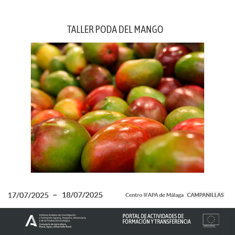 Taller IFAPA: Poda del Mango