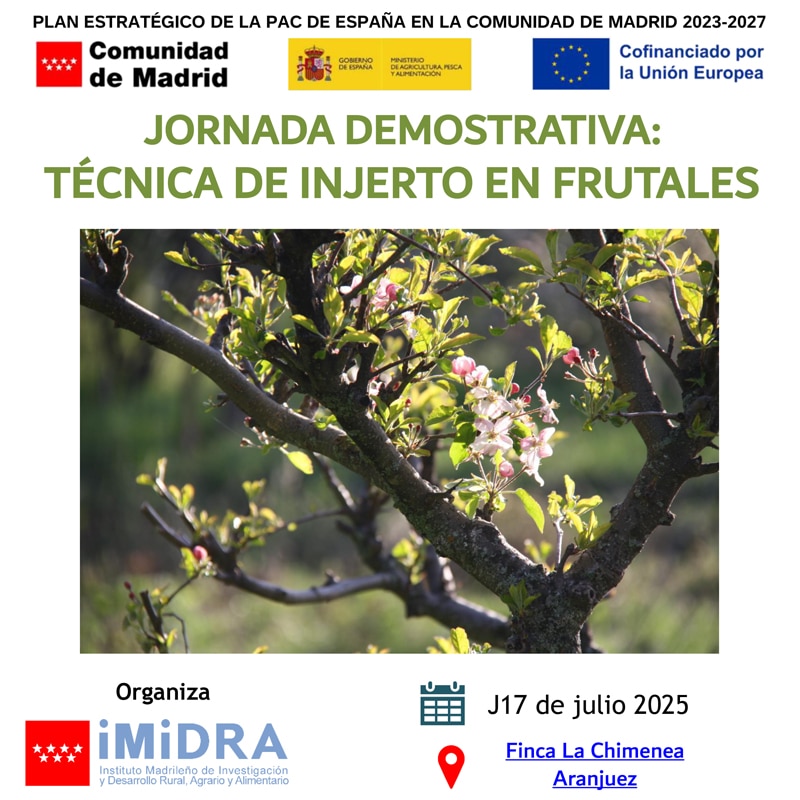 Jornada Demostrativa IMIDRA: Técnica de Injerto en Frutales