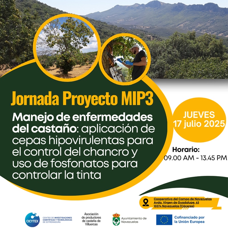 Jornada de Campo CICYTEX: Enfermedades del Castaño