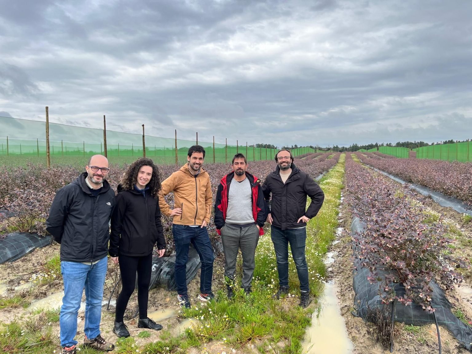 Yara y SanLucar se unen para impulsar la agricultura regenerativa