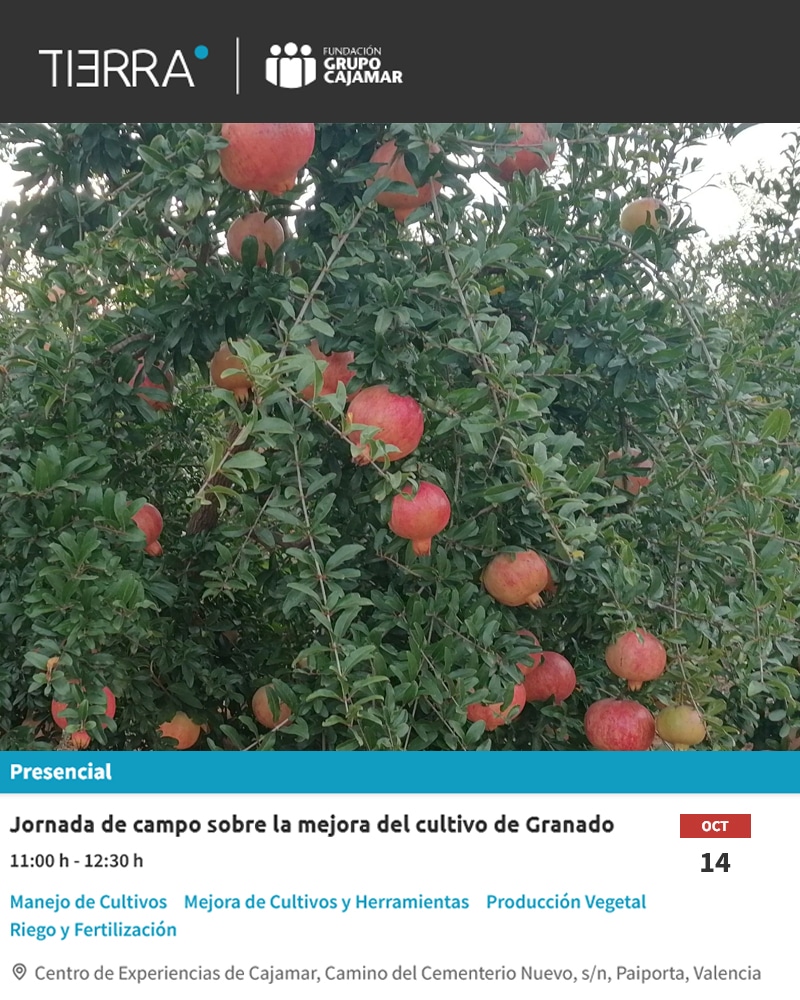 Jornada de campo sobre la mejora del cultivo de Granado