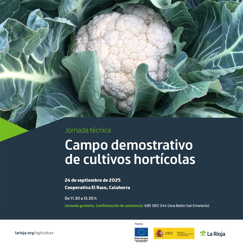 Jornada técnica sobre campos demostrativos de cultivos hortícolas