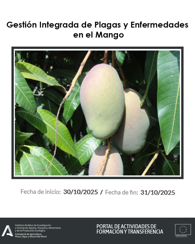 Gestión Integrada de Plagas y Enfermedades en el Mango