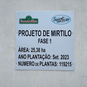 Yara y SanLucar Fruit se unen para impulsar la agricultura regenerativa y la descarbonización en el cultivo de arándanos